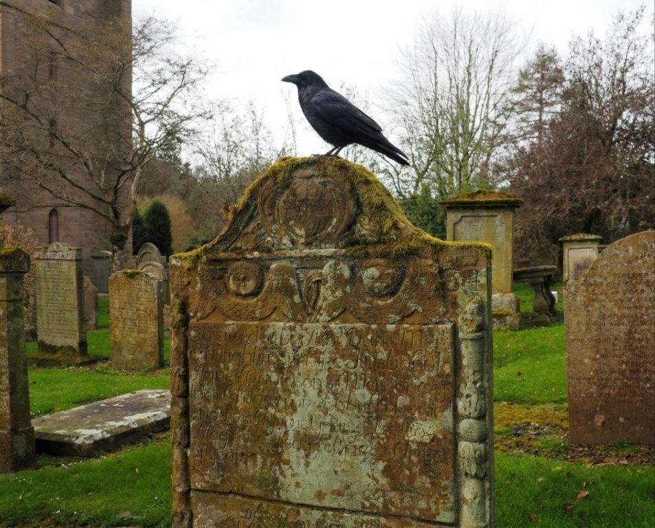 Ravens and Crows as Birds of Battle and Harbingers of Death in Scottish Lore